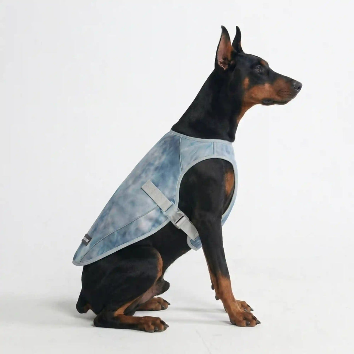 Chilltech™ Dog Cooling Vests