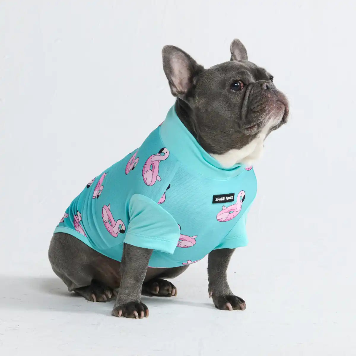 Sunblock Dog T-Shirt - Flamingo