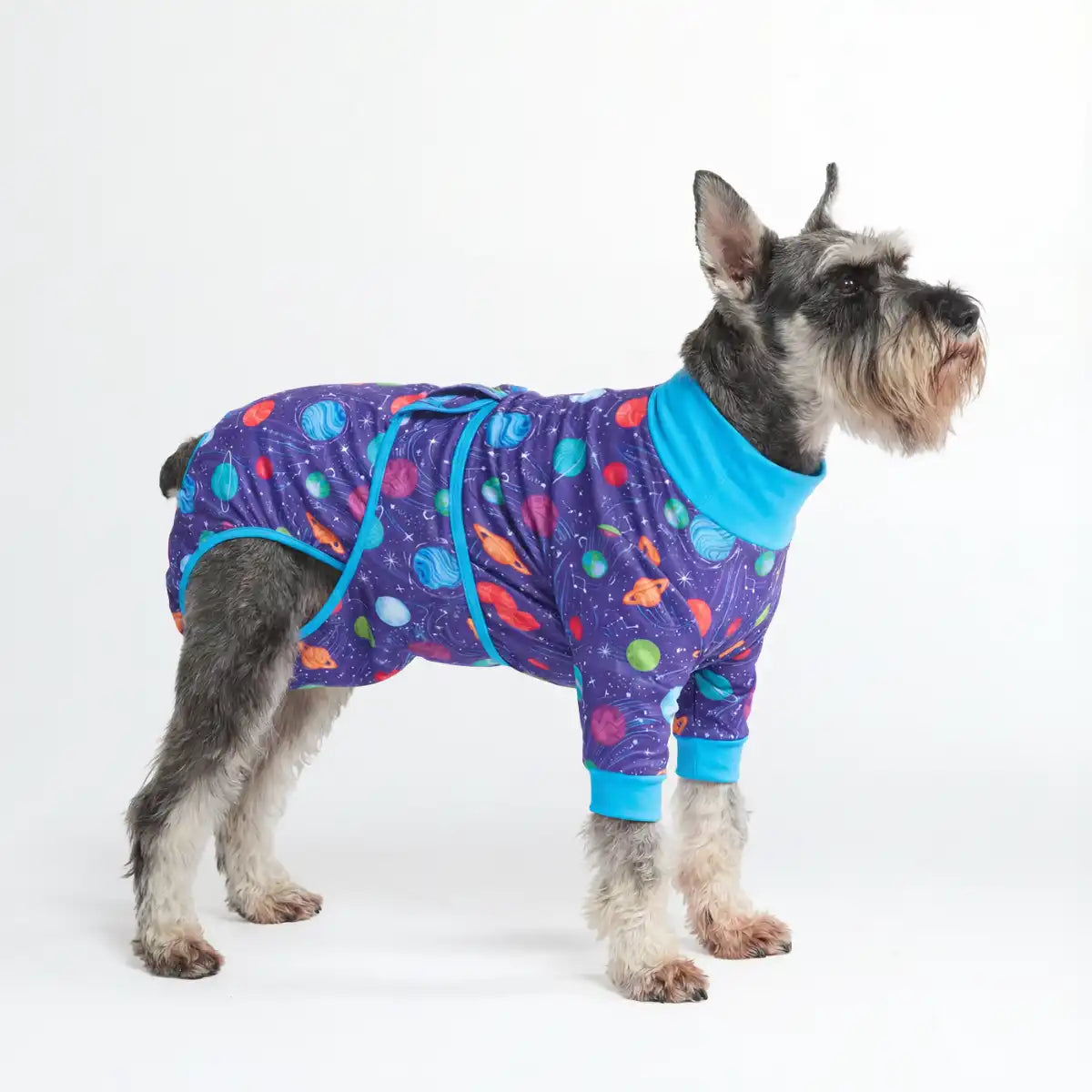 Dog Surgical Suit