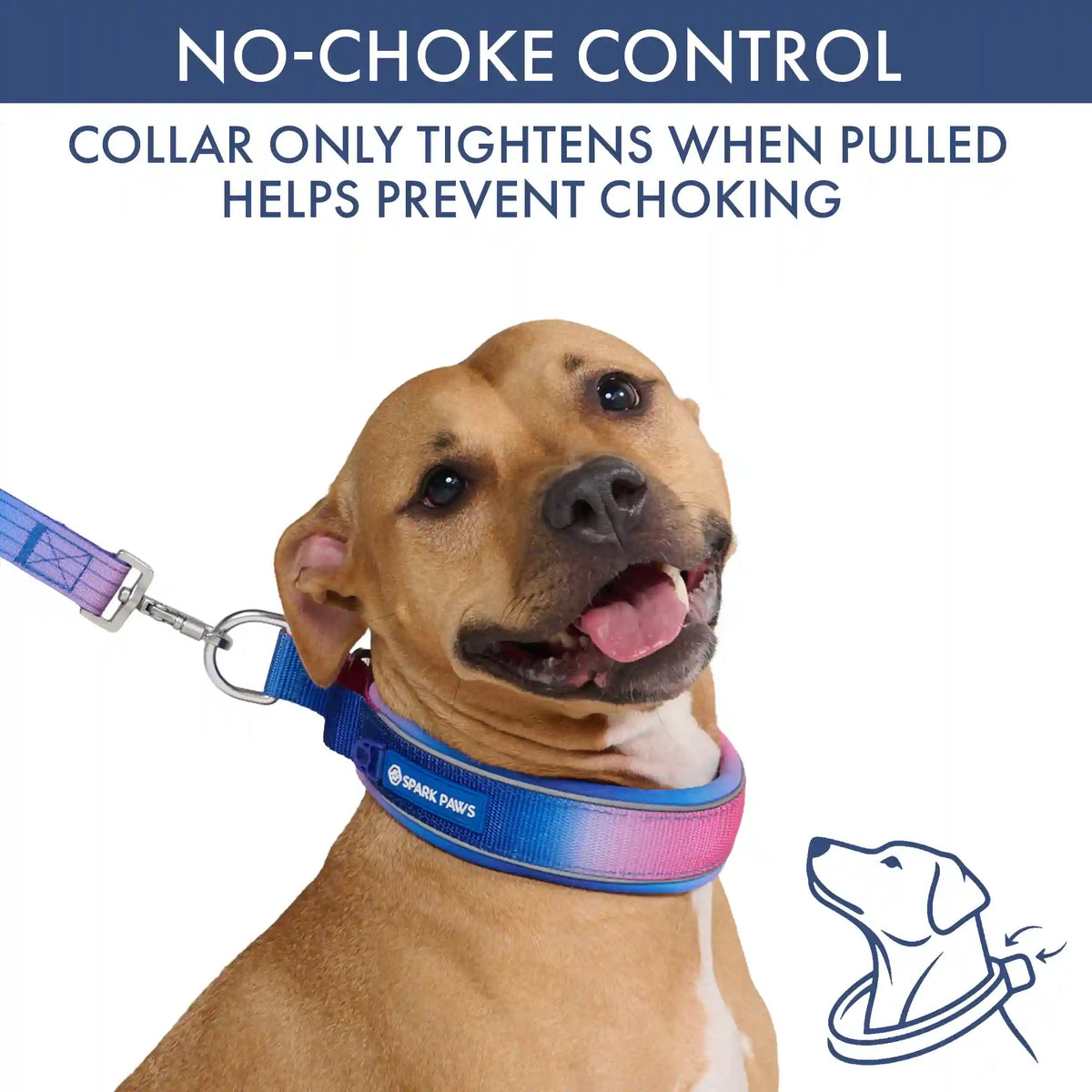 Martingale Collar Set - Snow Cone
