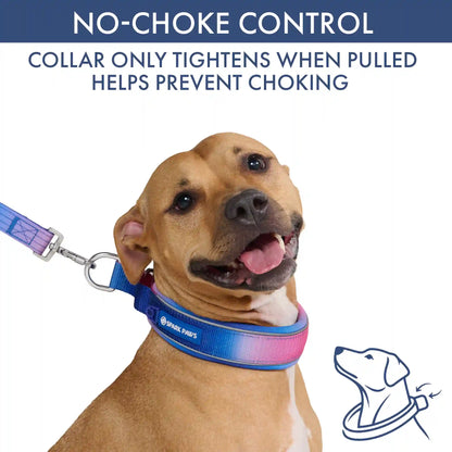 Martingale Collar Set - Snow Cone