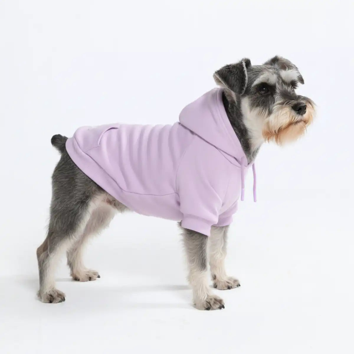 Essential Dog Hoodies