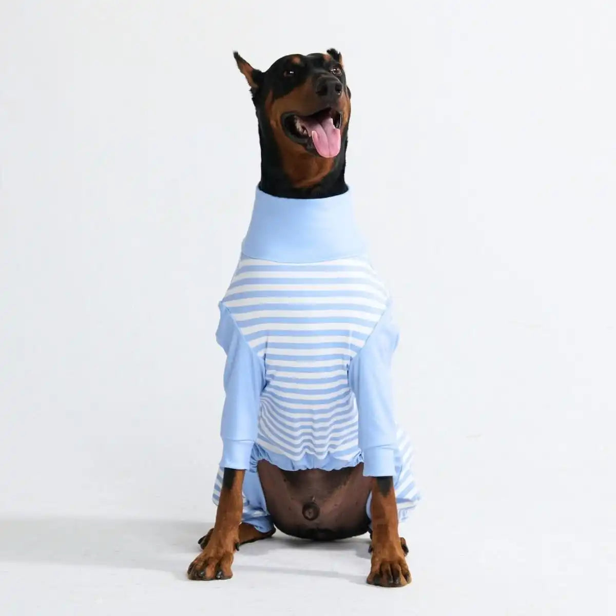 Dog Pajama Prints