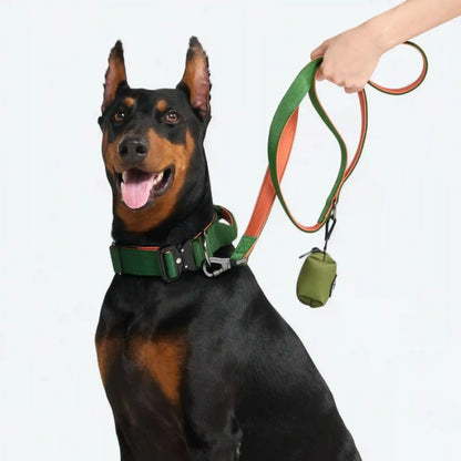 Comfort Control Collar - Green Orange
