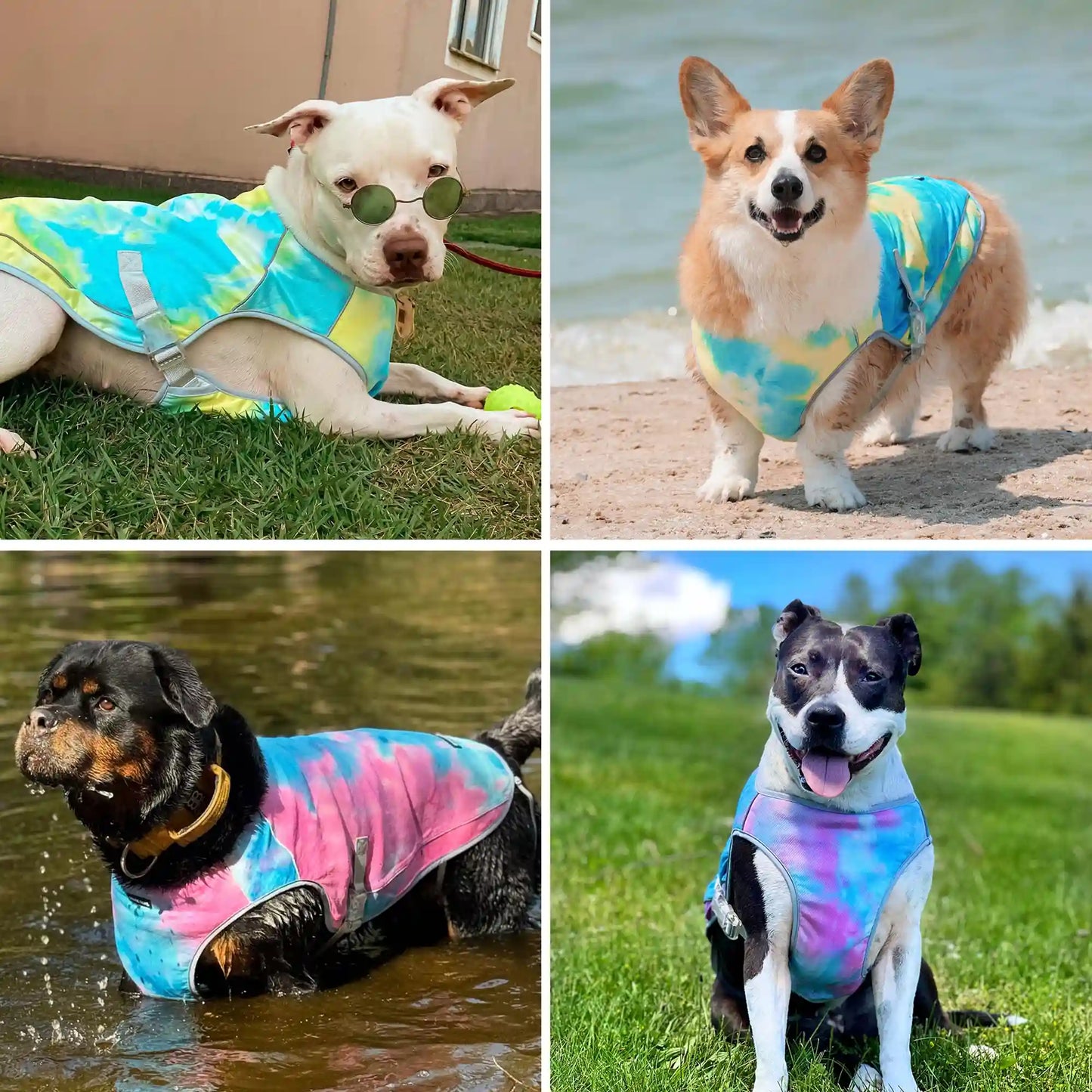Dog Cooling Vest (2-pack) - Snow Cone & Tropical Storm