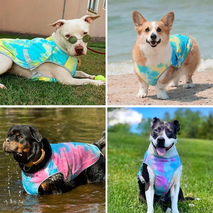 Dog Cooling Vest (2-pack) - Snow Cone & Tropical Storm