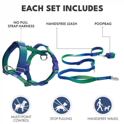 Comfort Control No-Pull Dog Harness and Multipurpose Leash Sets
