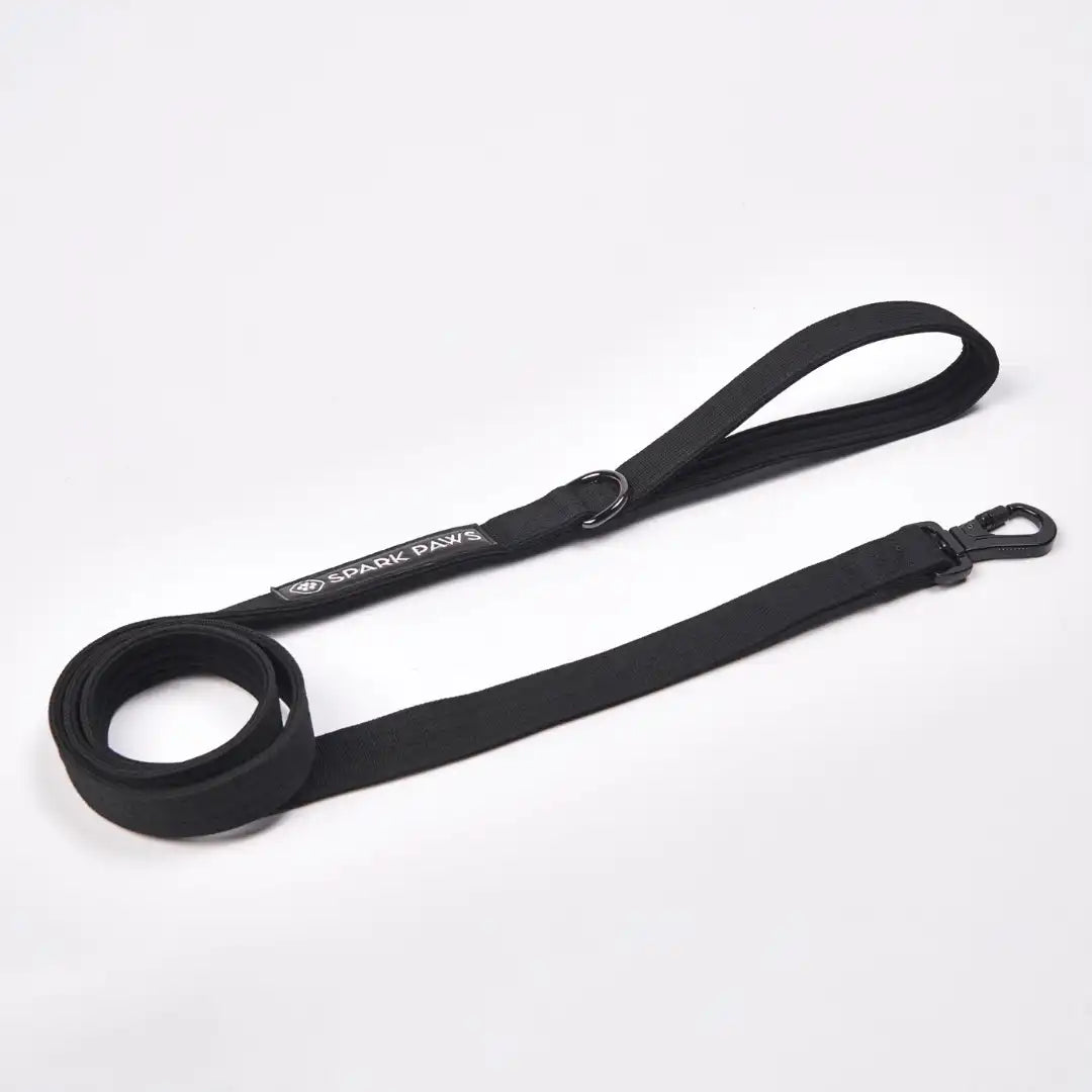Leash and Poop Bag Holder Set