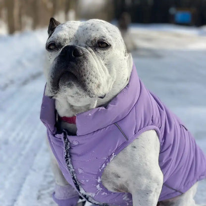 WarmShield Water-Resistant Jackets