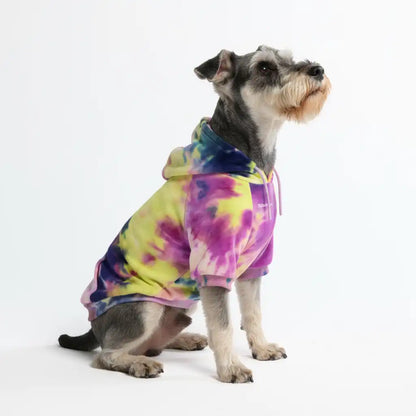 Velvet Dog Hoodie - Berry Lemonade