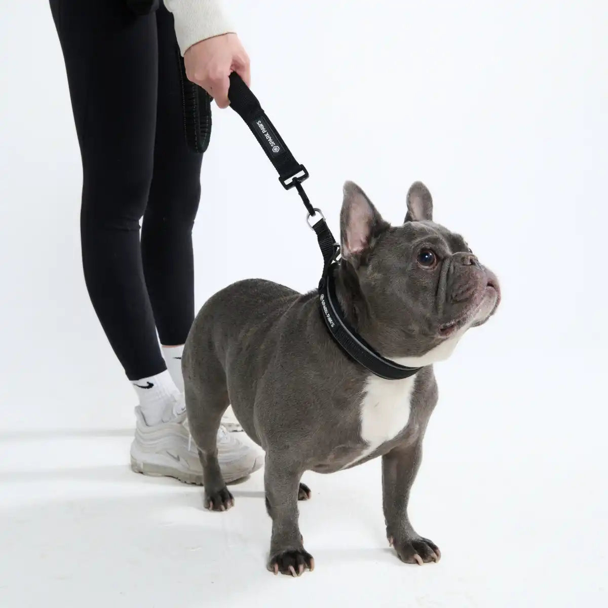 Cushioned Martingale Collars