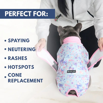 Dog Surgical Suit  2-pack