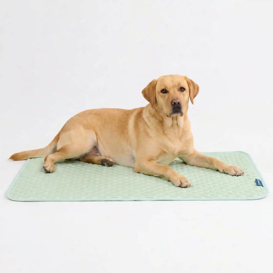 Frostcore™ Cooling Mat - Orb Green