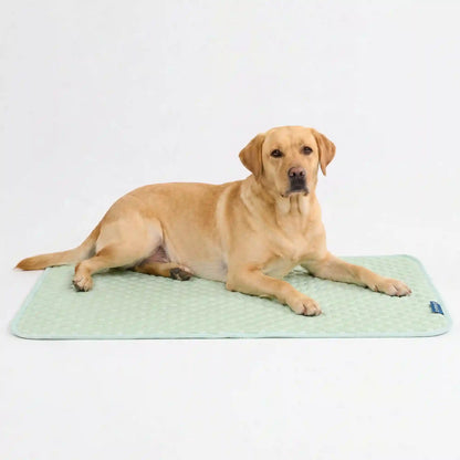 Frostcore™ Cooling Mat