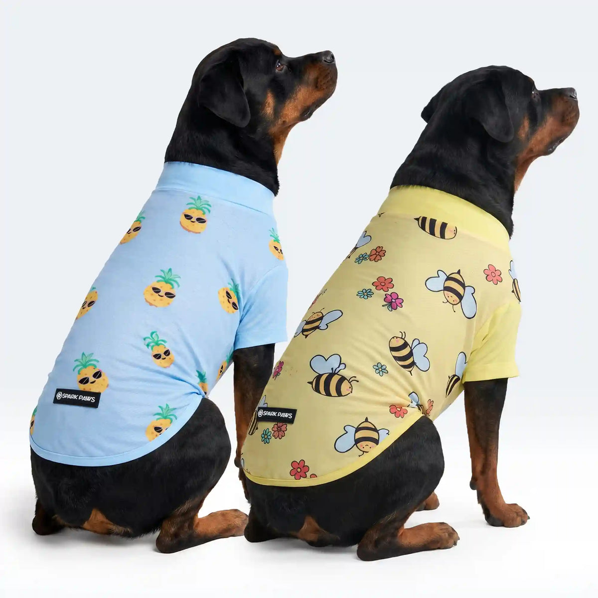 Sunblock Dog T-Shirt 2-pack