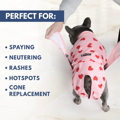 Dog Surgical Suit (2-pack) - Pink Hearts and When Pigs Fly