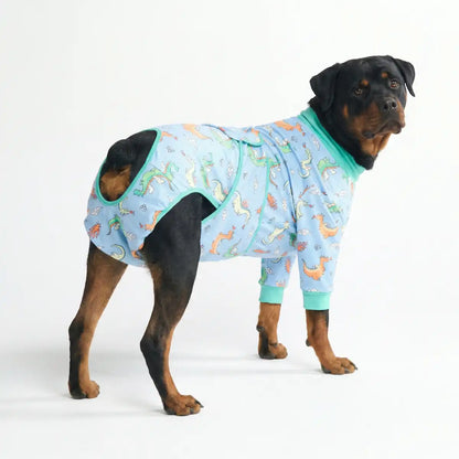 Dog Surgical Suit