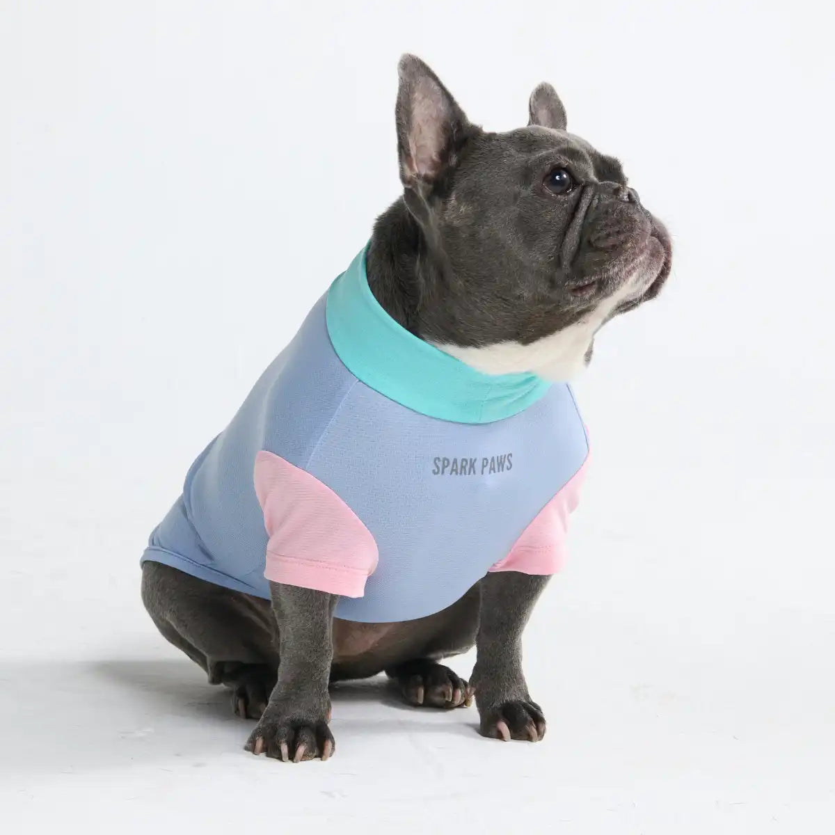 Sunblock Dog T-Shirt - Sorbet