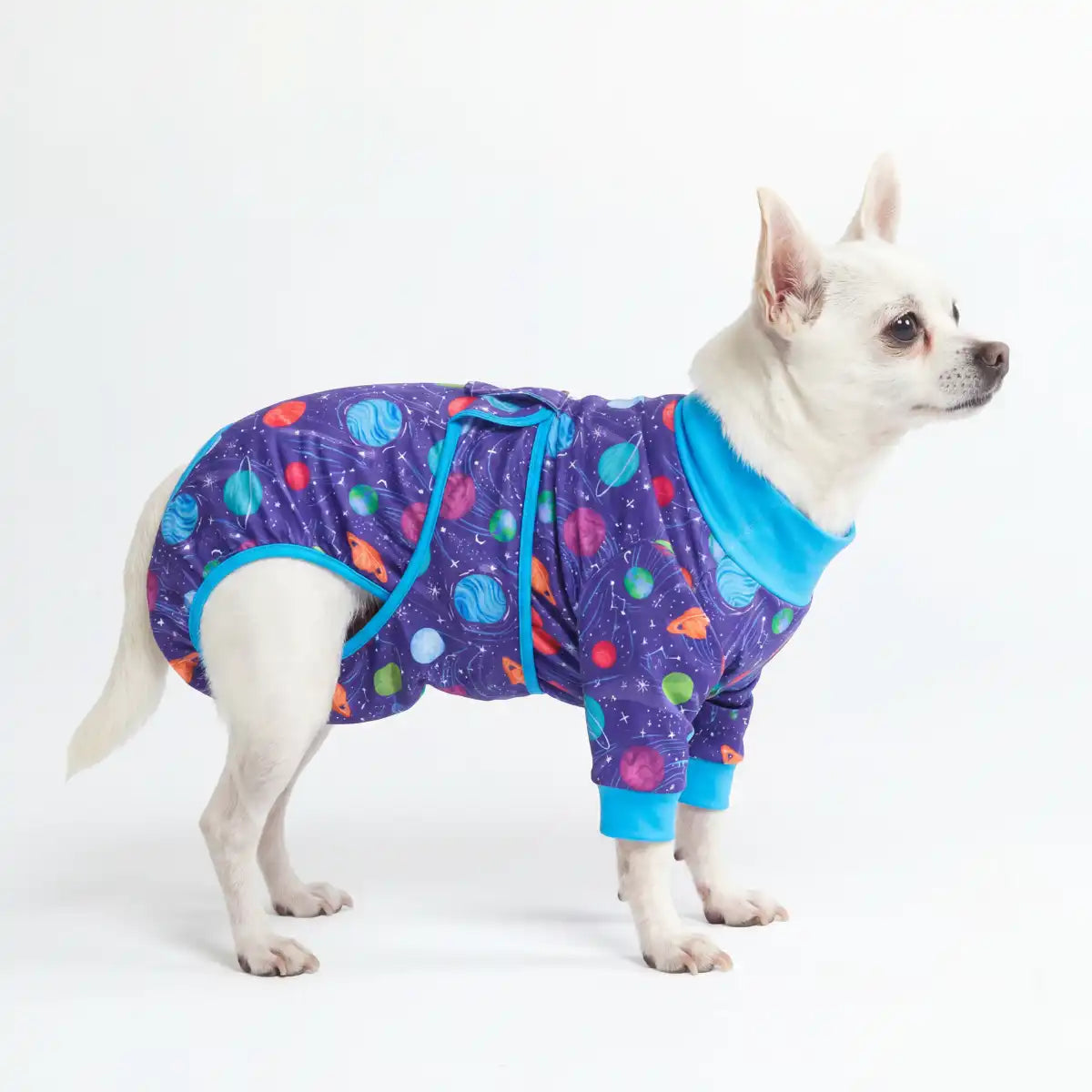 Dog Surgical Suit
