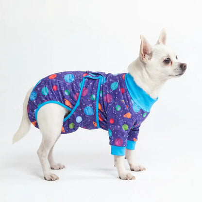 Dog Surgical Suit