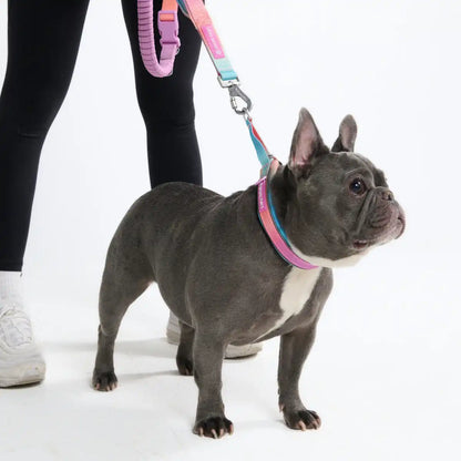 Cushioned Martingale Collars