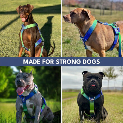 Comfort Control No-Pull Dog Harnesses