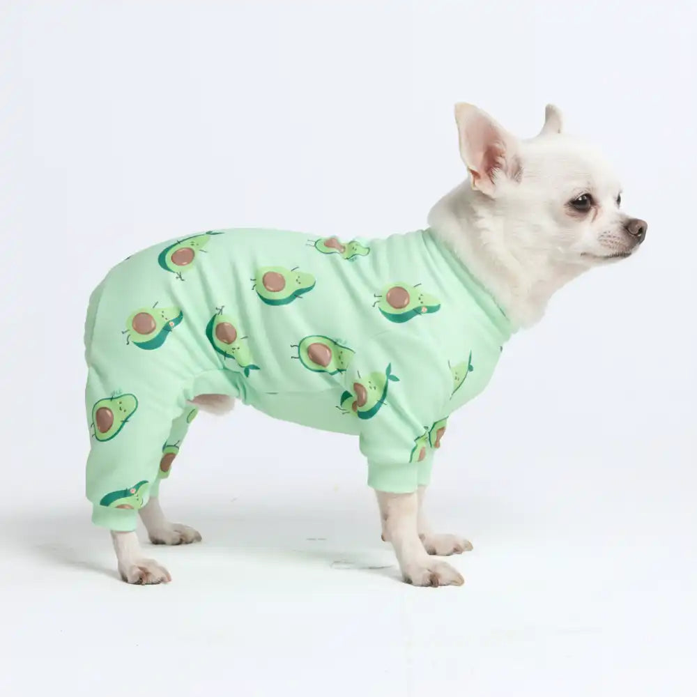 Dog Pajama Prints