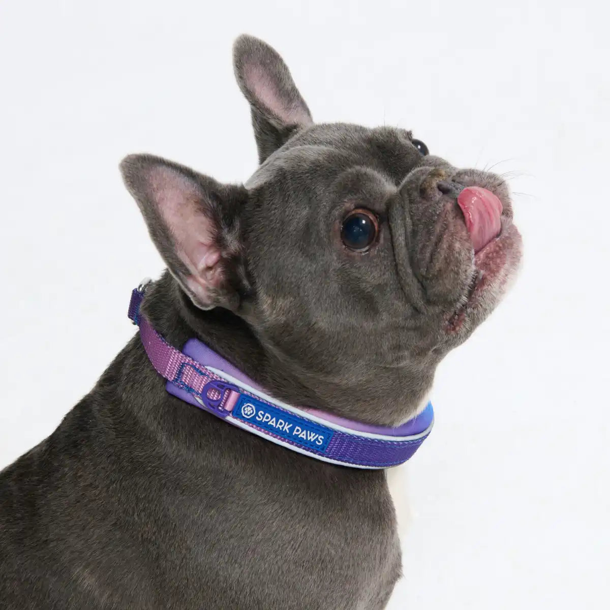Cushioned Martingale Collars