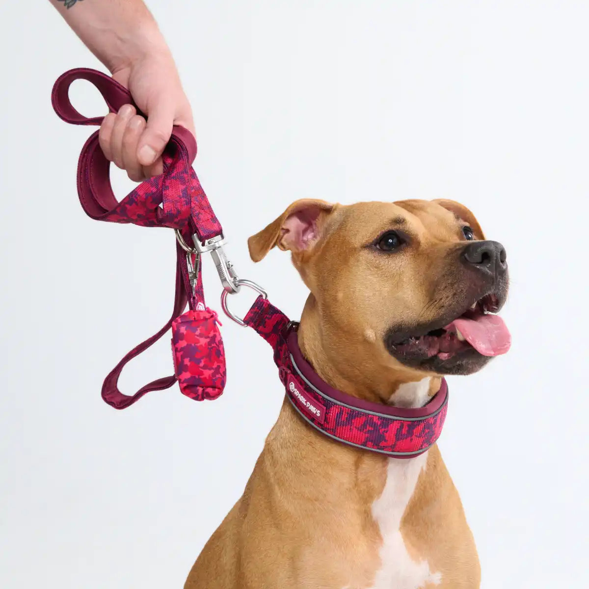 Cushioned Martingale Collars
