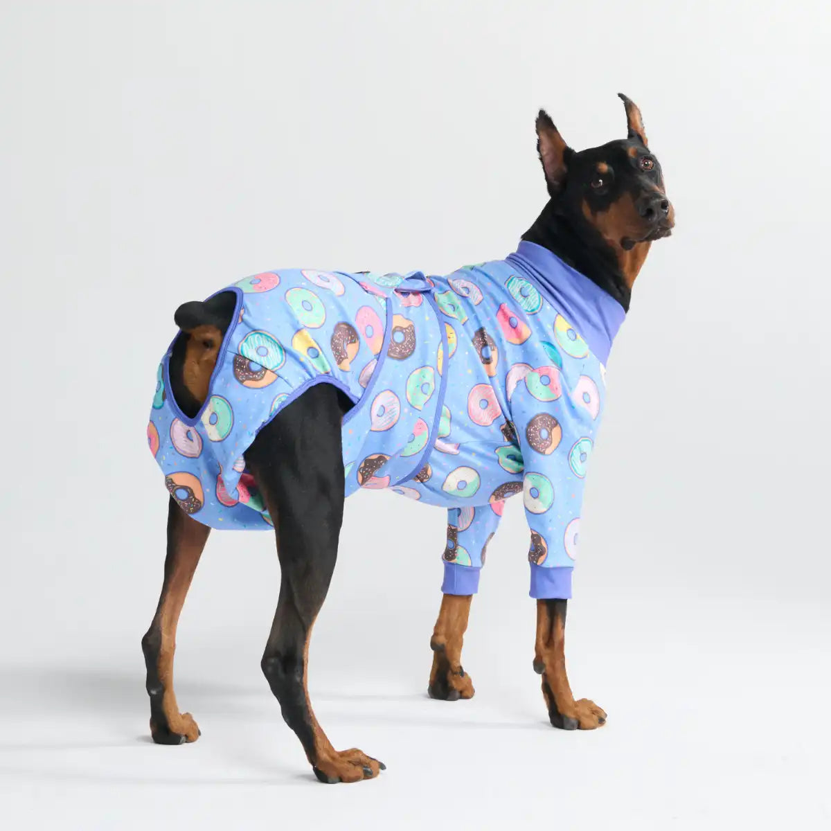Dog Surgical Suit  2-pack