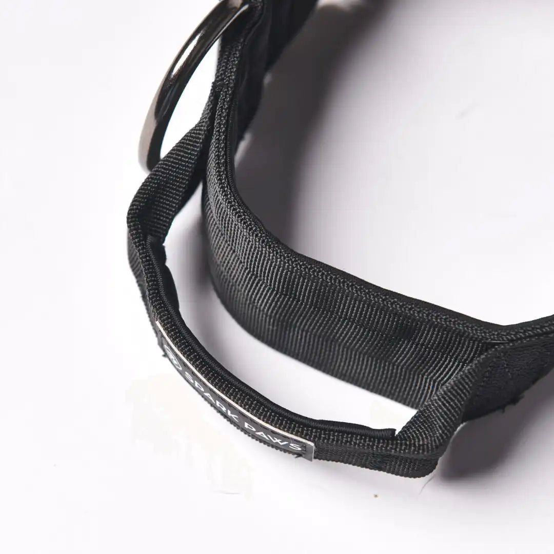 Comfort Control Dog Collars