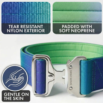 Comfort Control Dog Collar Sets