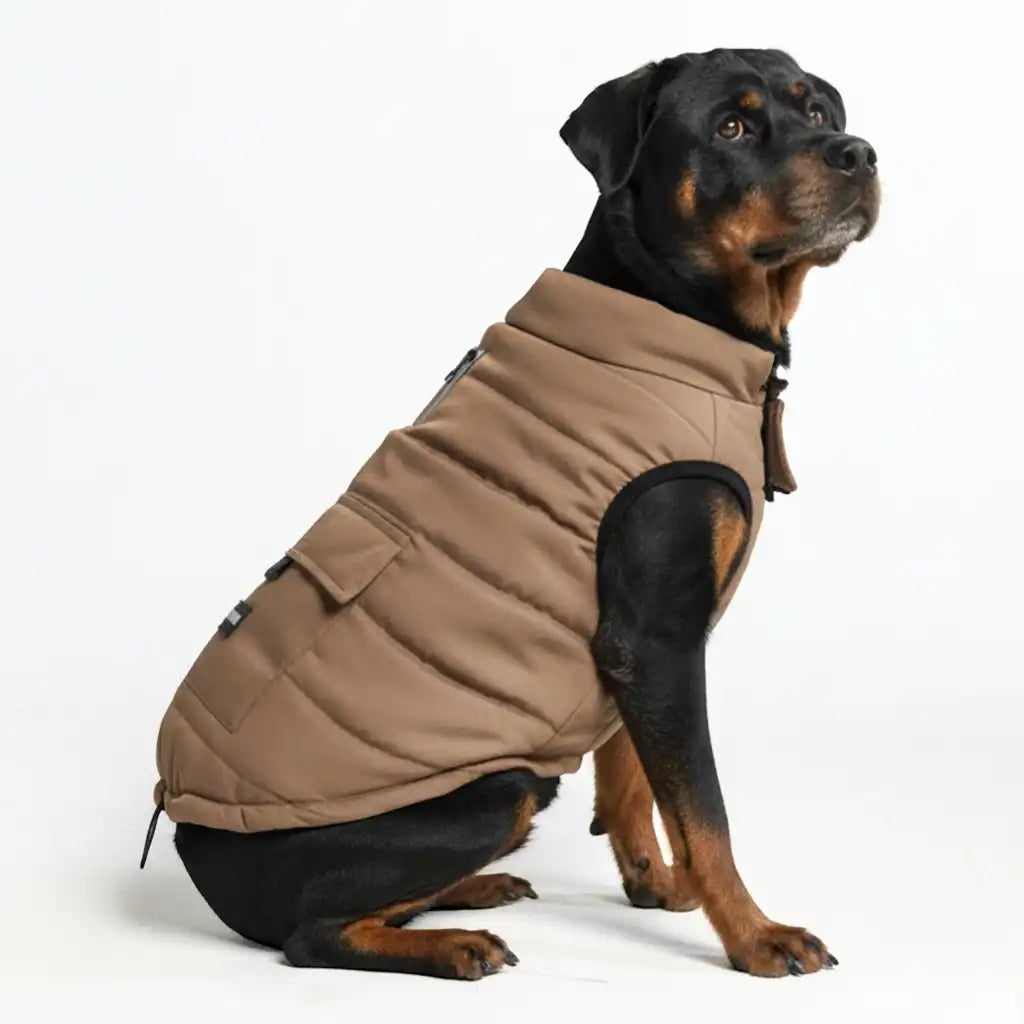 WarmShield Water-Resistant Jacket - Tan