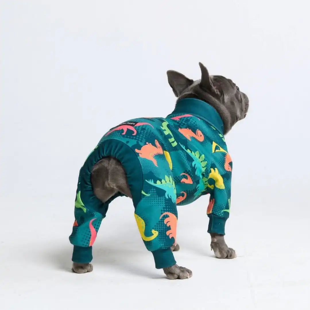 Dog Pajama Prints