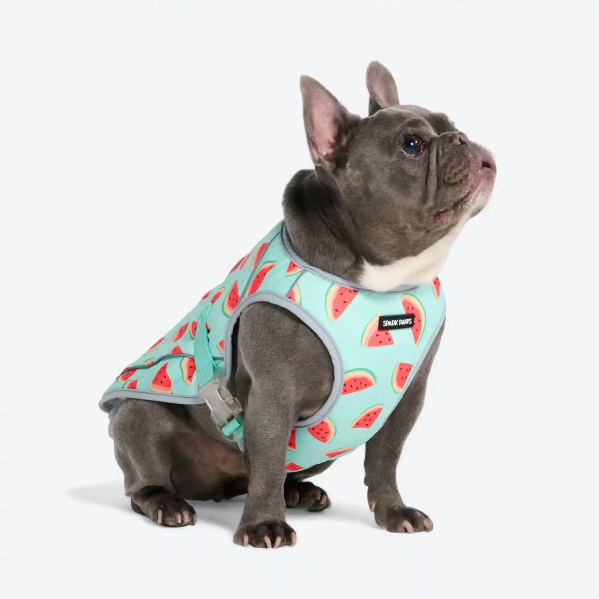 Chilltech™ Dog Cooling Vests