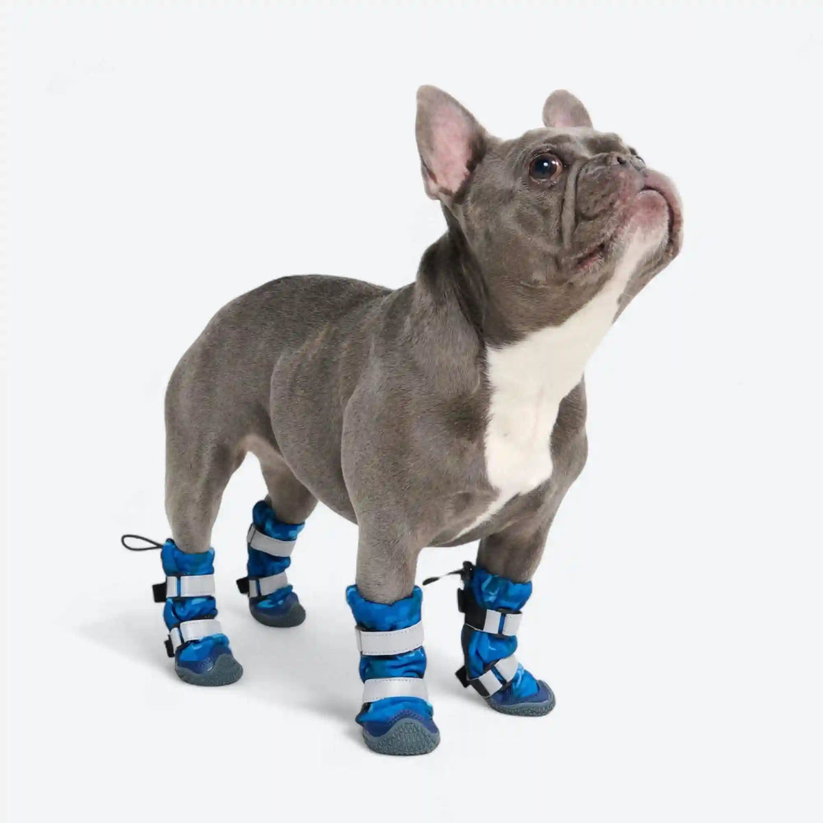 Dog Rainboots, Waterproof Dog Shoes
