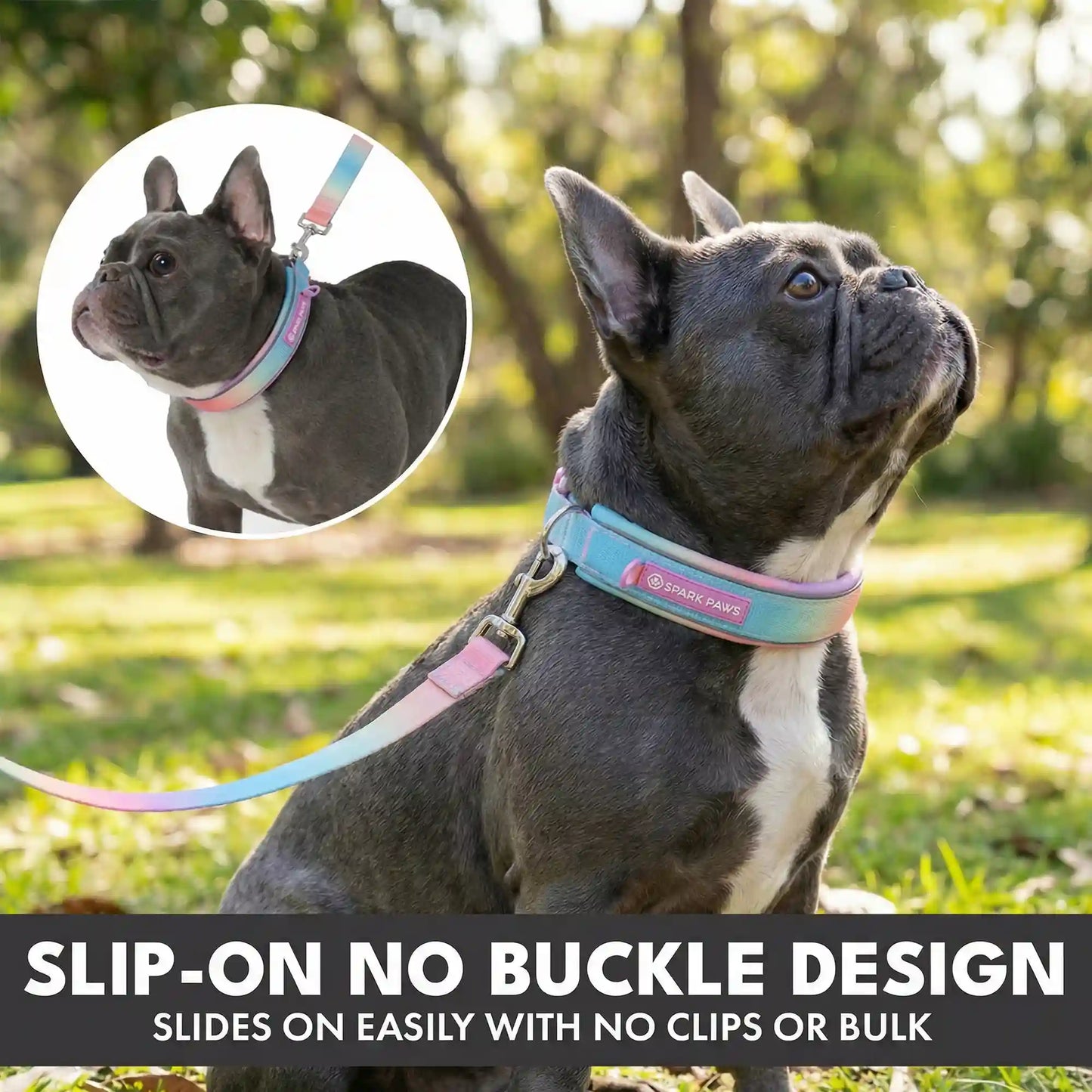 Martingale Collar and Multipurpose Leash Sets