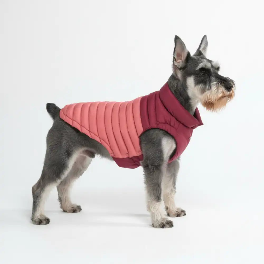 PuffShield Winter Jackets