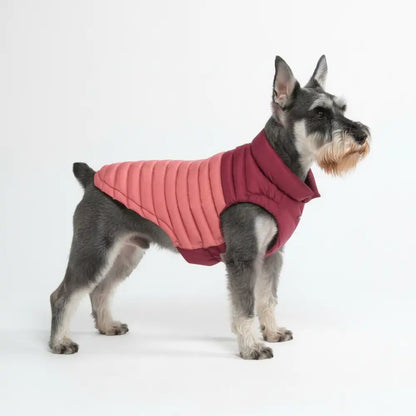 PuffShield Winter Jackets