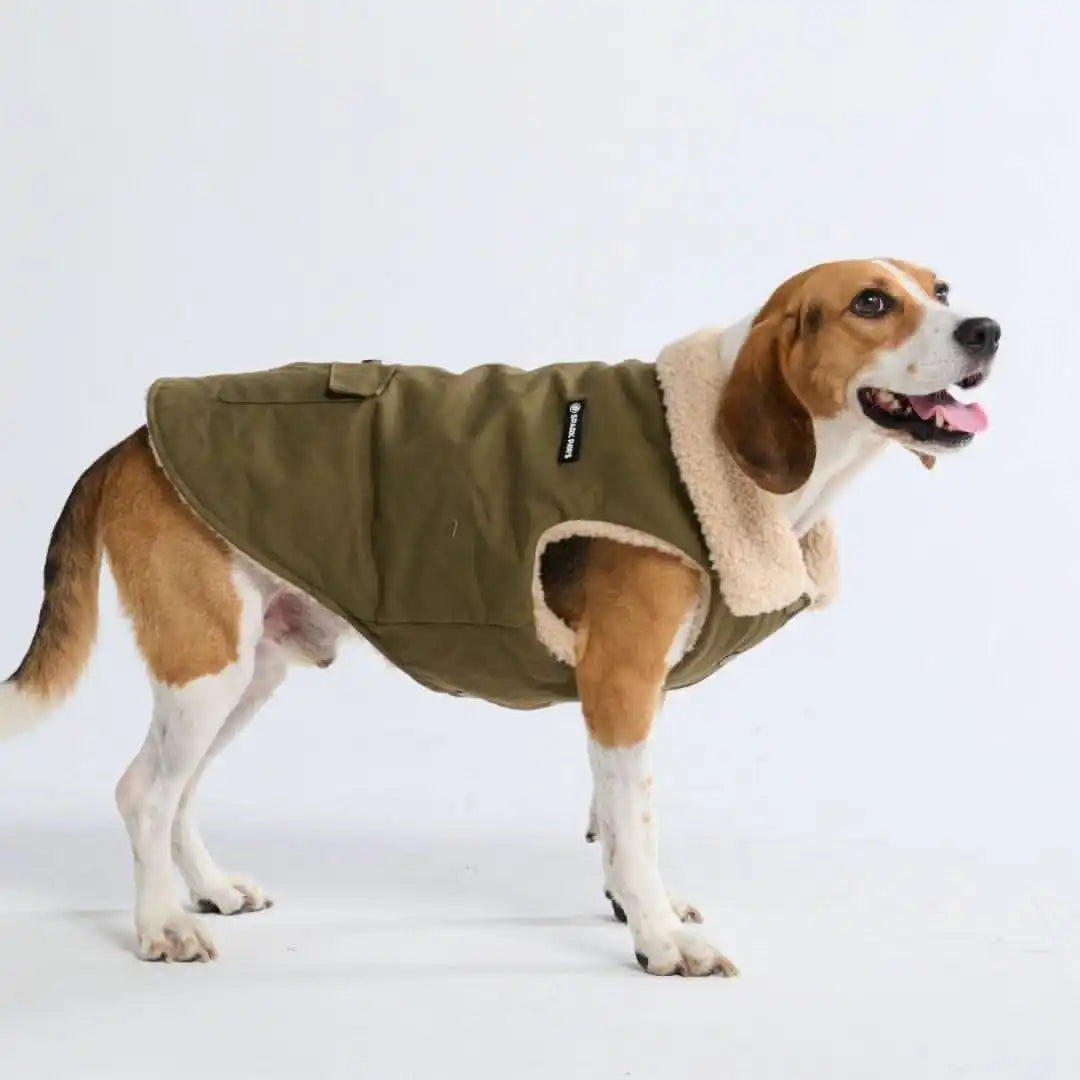 Workdog Insulated Utility Jacket Jackets