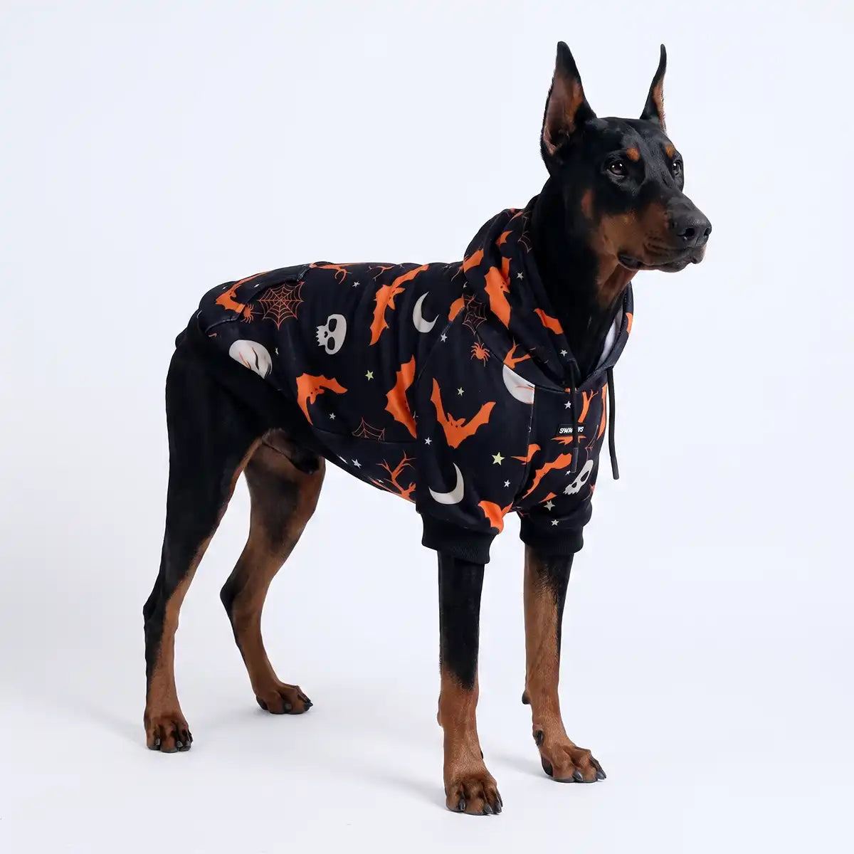 Halloween Dog Hoodie - Black (2)