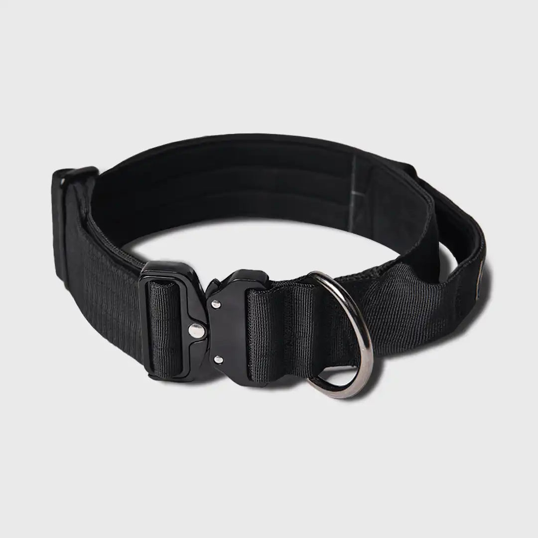 Comfort Control Dog Collars