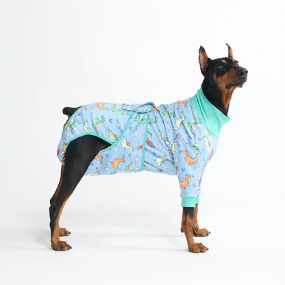 Dog Surgical Suit