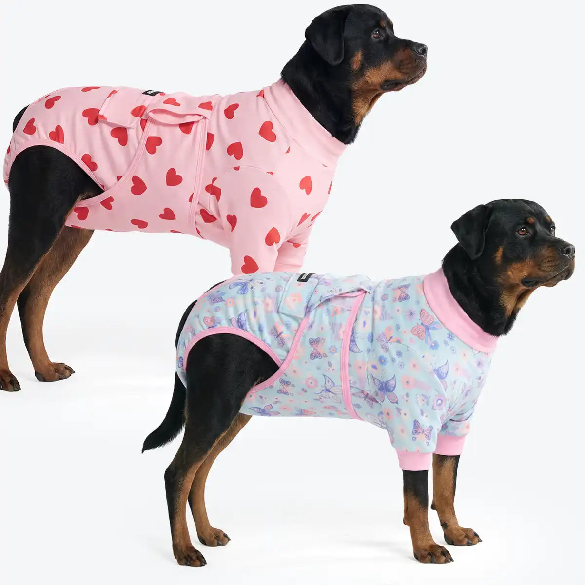 Dog Surgical Suit (2-pack) - Butterfly and Pink Hearts