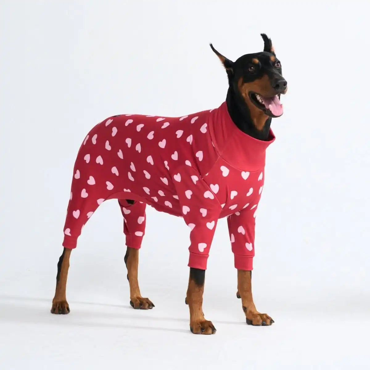 Dog Pajama - Red Hearts