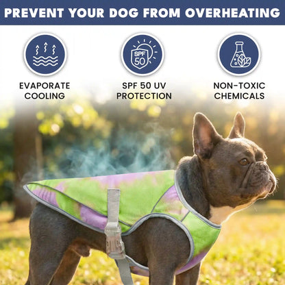 Dog Cooling Vest - Neon Purple