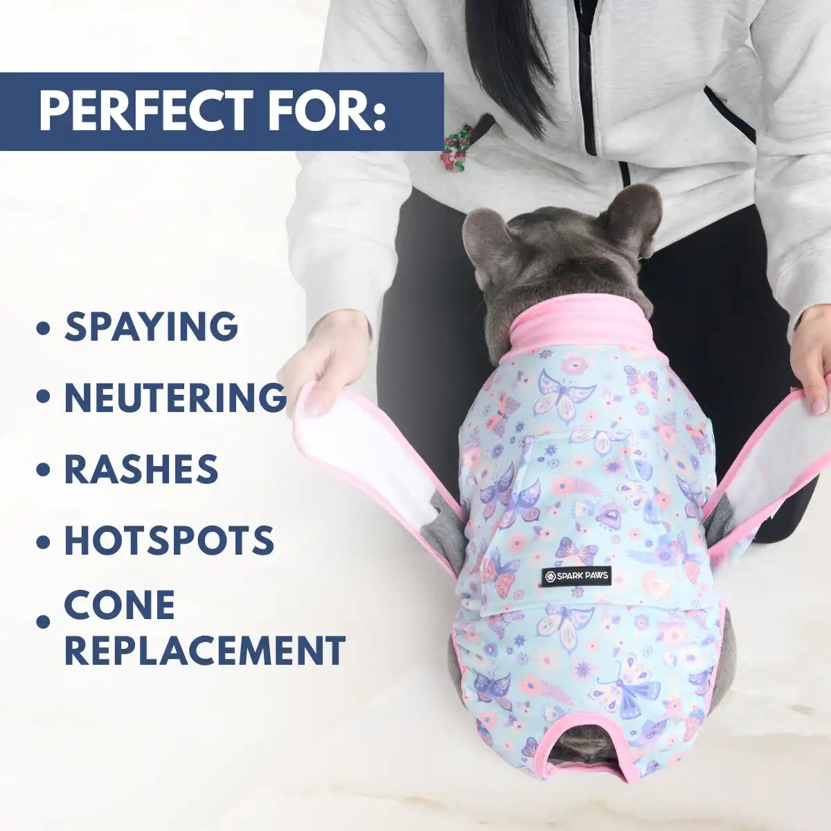 Dog Surgical Suit