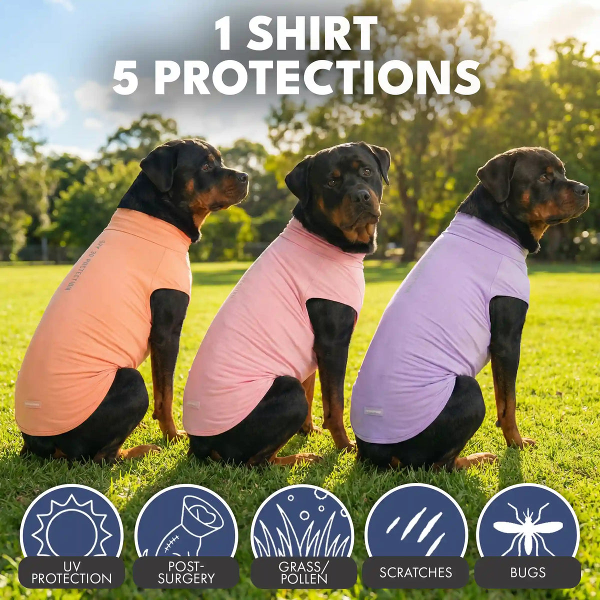 Sunblock T-Shirt 3 Pack
