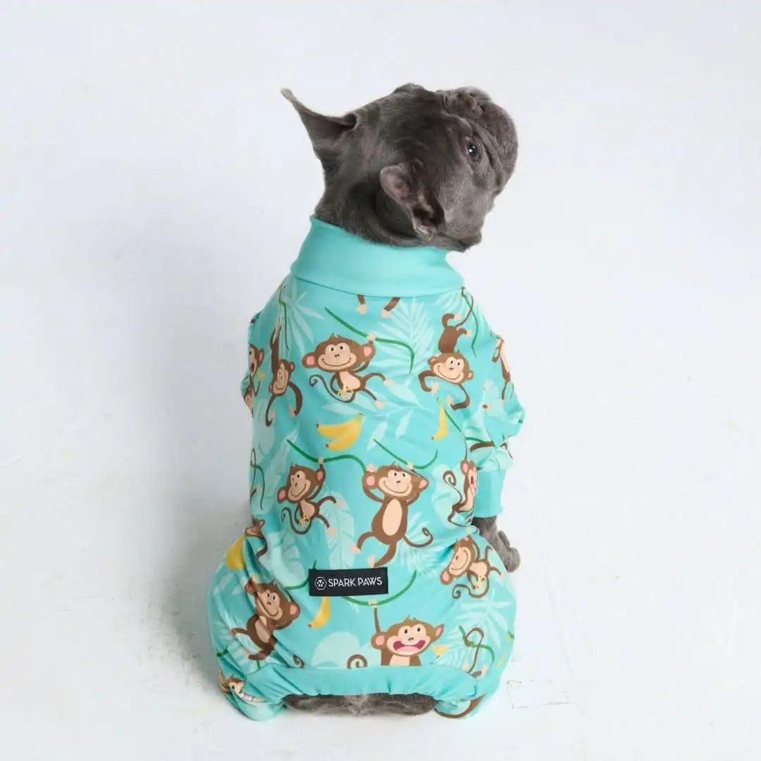 Dog Pajama Prints