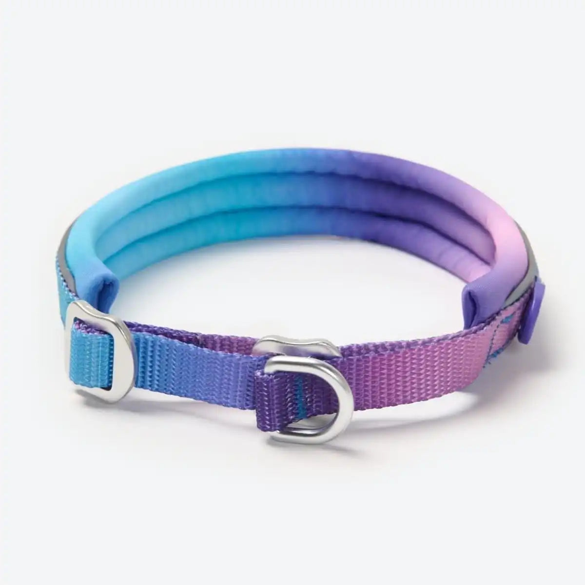 Cushioned Martingale Collar - 90s Retro